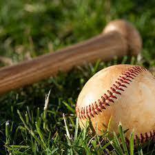 baseball & bat in grass